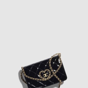 체인 지갑 AP4013